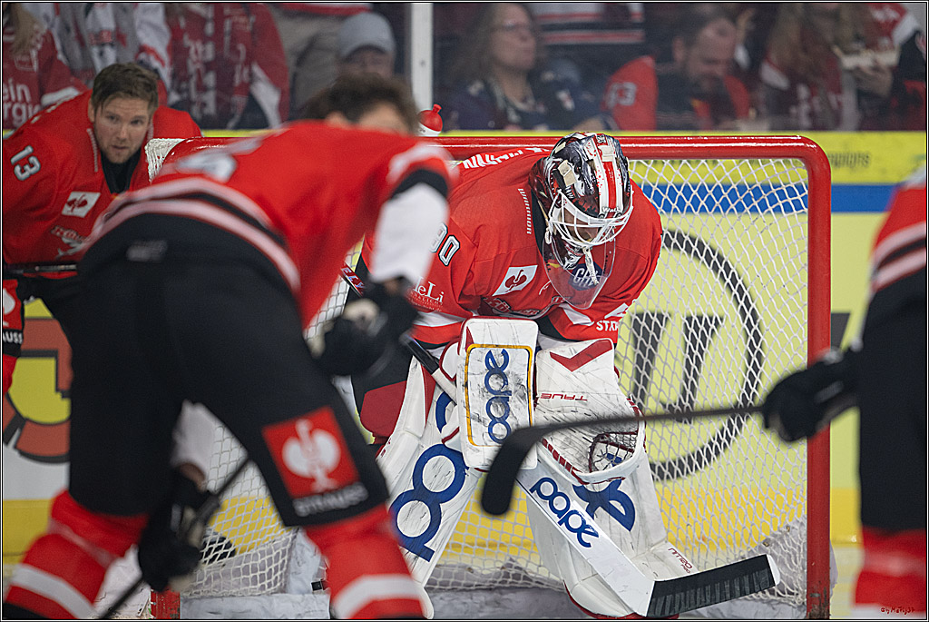 CHL Vorrunde; Kölner Haie - KAC Klagenfurt; Krefeld, 12.09.2026