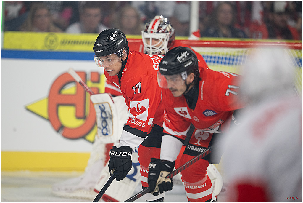 CHL Vorrunde; Kölner Haie - KAC Klagenfurt; Krefeld, 12.09.2026