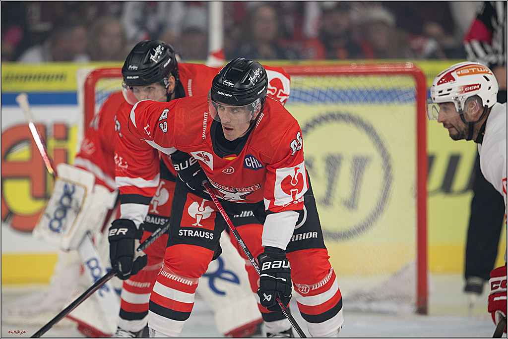 CHL Vorrunde; Kölner Haie - KAC Klagenfurt; Krefeld, 12.09.2026
