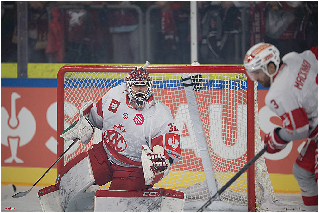 CHL Vorrunde; Kölner Haie - KAC Klagenfurt; Krefeld, 12.09.2026