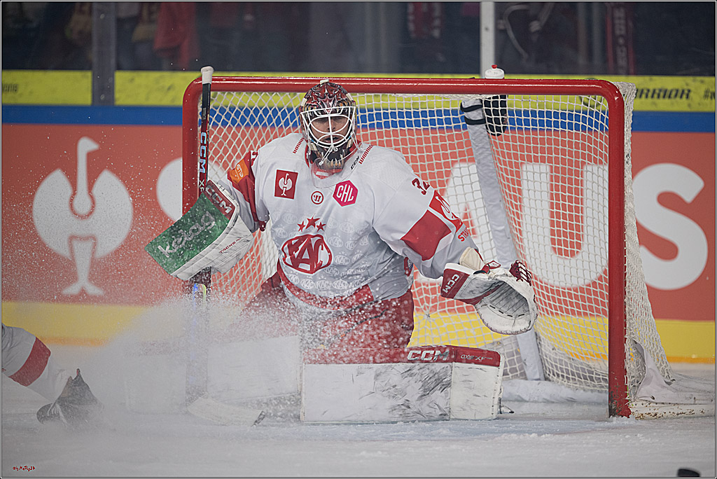 CHL Vorrunde; Kölner Haie - KAC Klagenfurt; Krefeld, 12.09.2026