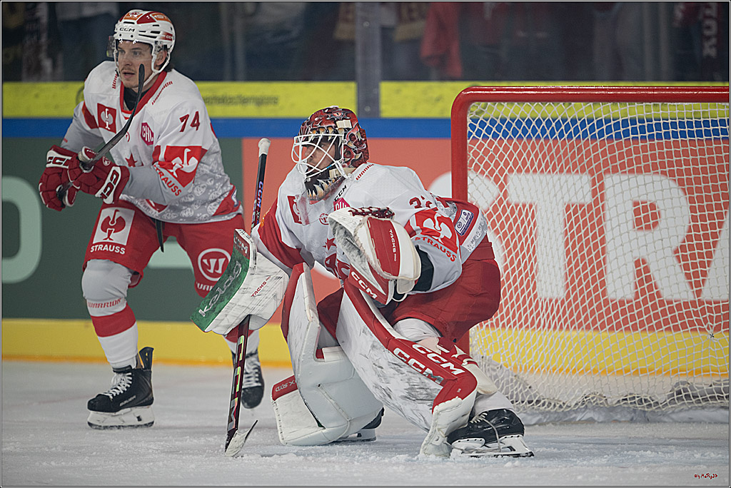 CHL Vorrunde; Kölner Haie - KAC Klagenfurt; Krefeld, 12.09.2026