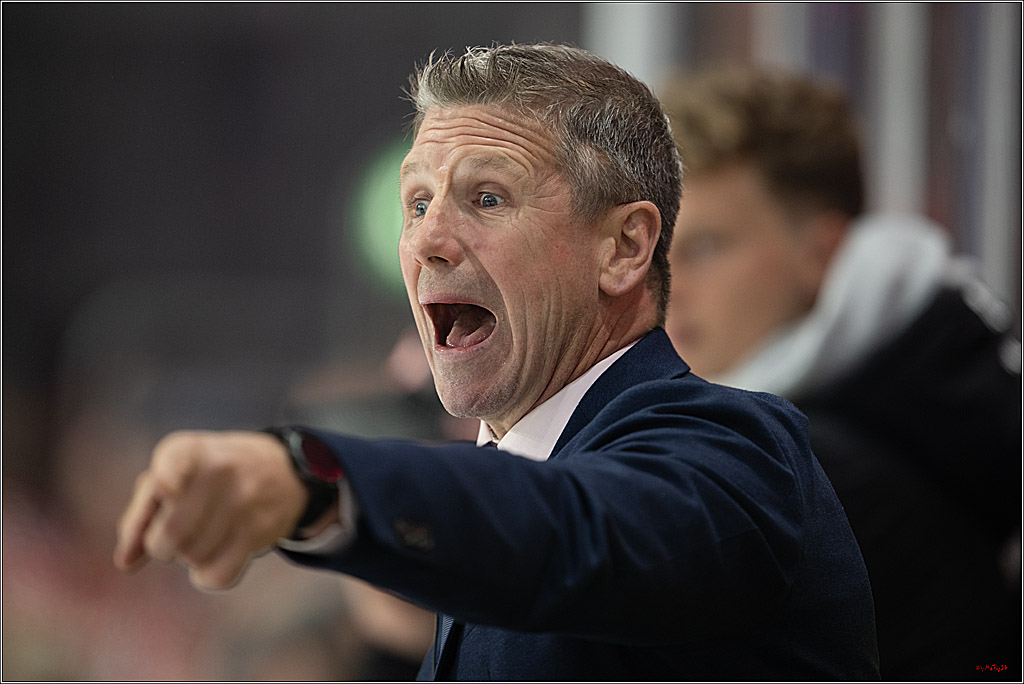 CHL Vorrunde; Kölner Haie - KAC Klagenfurt; Krefeld, 12.09.2026