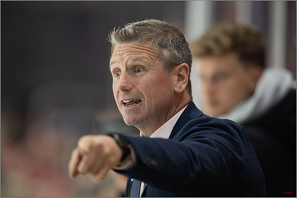 CHL Vorrunde; Kölner Haie - KAC Klagenfurt; Krefeld, 12.09.2026