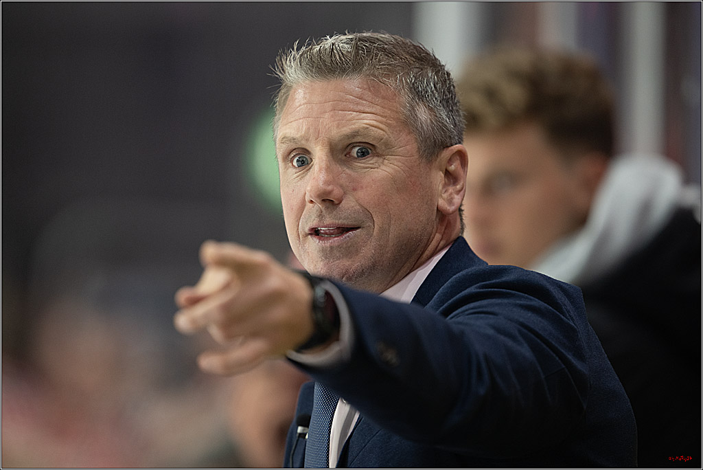 CHL Vorrunde; Kölner Haie - KAC Klagenfurt; Krefeld, 12.09.2026