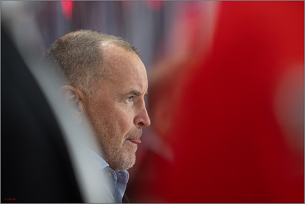 CHL Vorrunde; Kölner Haie - KAC Klagenfurt; Krefeld, 12.09.2026