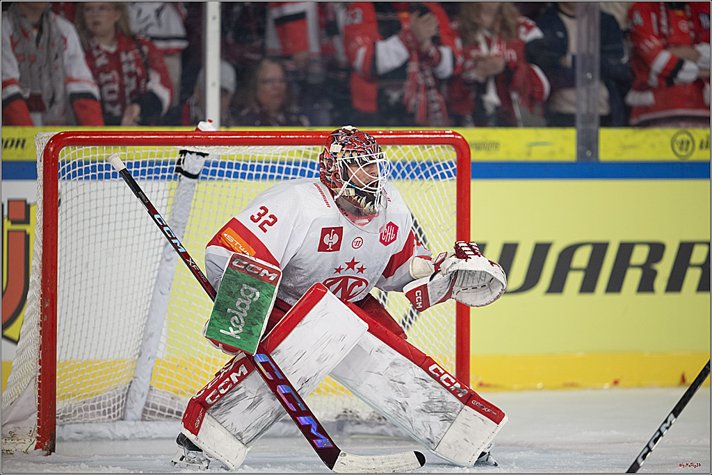 CHL Vorrunde; Kölner Haie - KAC Klagenfurt; Krefeld, 12.09.2026