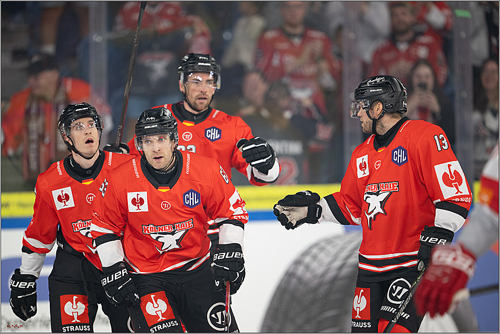 CHL Vorrunde; Kölner Haie - KAC Klagenfurt; Krefeld, 12.09.2026