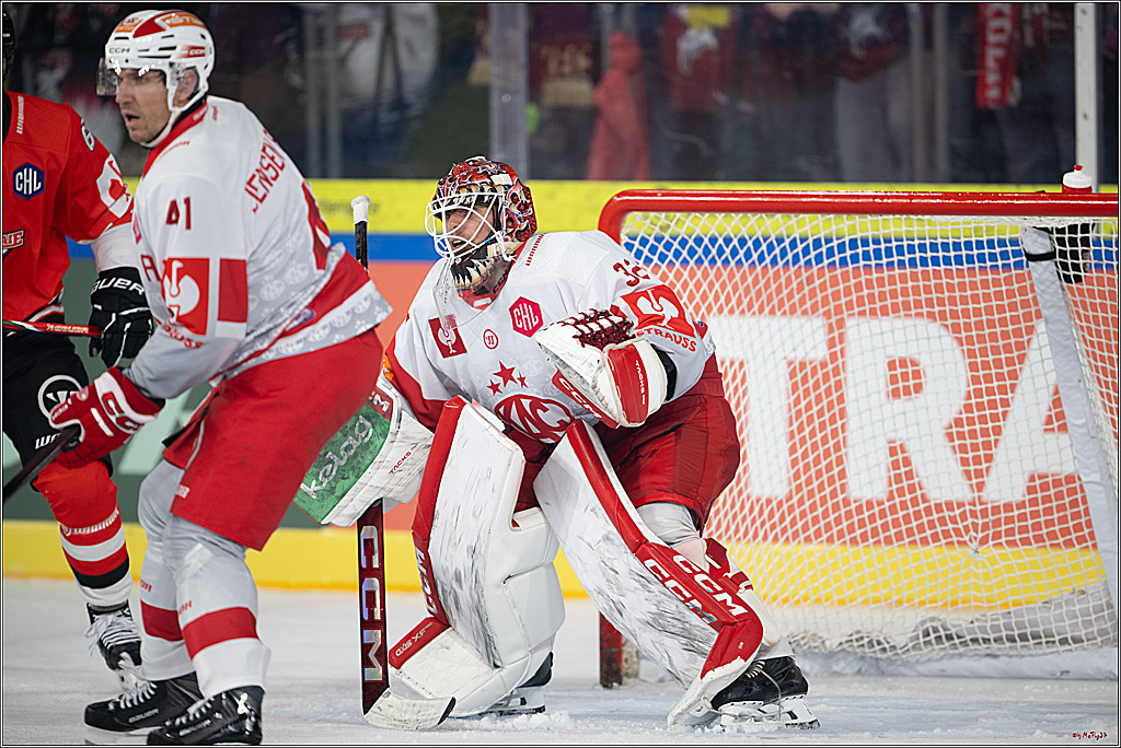 CHL Vorrunde; Kölner Haie - KAC Klagenfurt; Krefeld, 12.09.2026