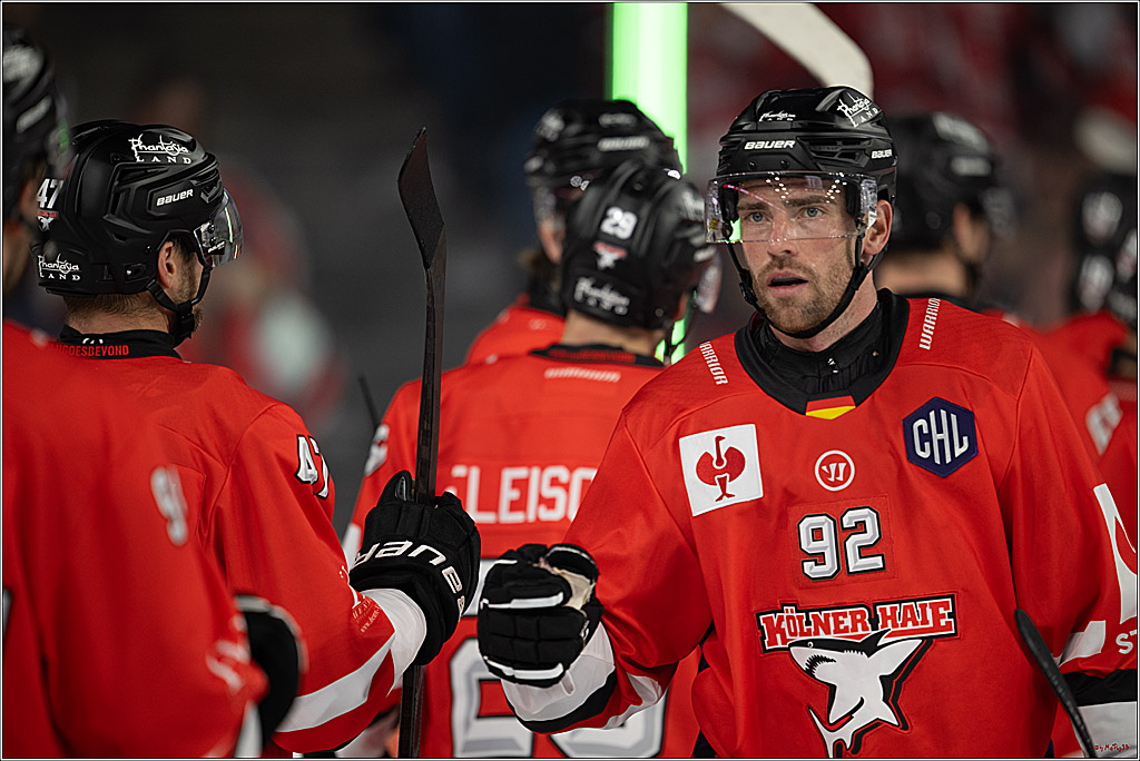 CHL Vorrunde; Kölner Haie - KAC Klagenfurt; Krefeld, 12.09.2026