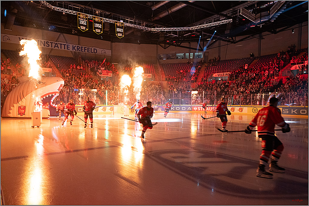 CHL Vorrunde; Kölner Haie - KAC Klagenfurt; Krefeld, 12.09.2026