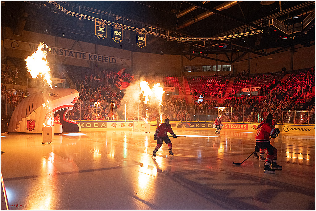 CHL Vorrunde; Kölner Haie - KAC Klagenfurt; Krefeld, 12.09.2026