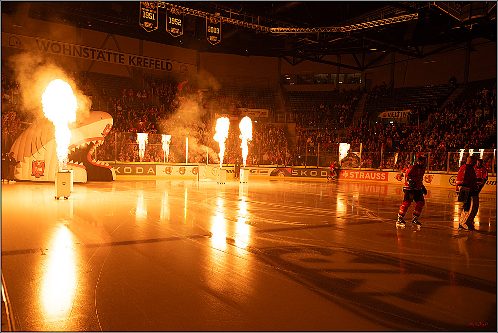 CHL Vorrunde; Kölner Haie - KAC Klagenfurt; Krefeld, 12.09.2026