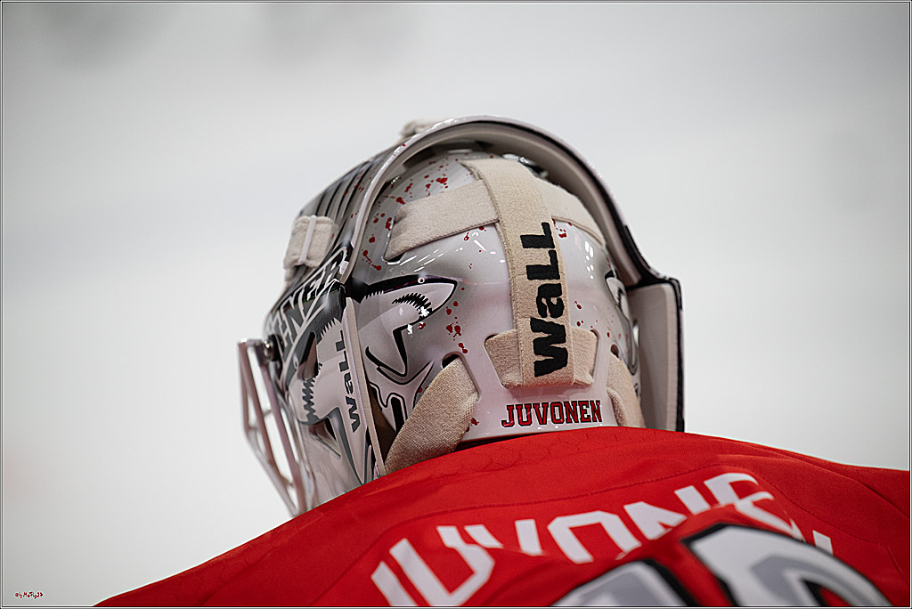 CHL Vorrunde; Kölner Haie - KAC Klagenfurt; Krefeld, 12.09.2026