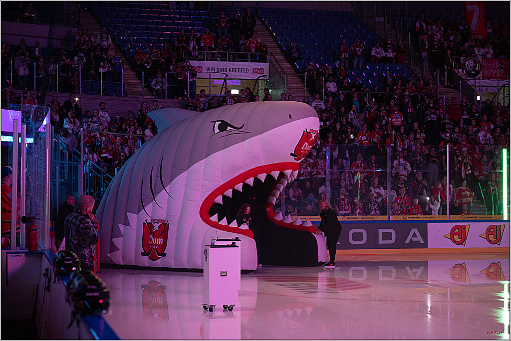 CHL Vorrunde; Kölner Haie - KAC Klagenfurt; Krefeld, 12.09.2026