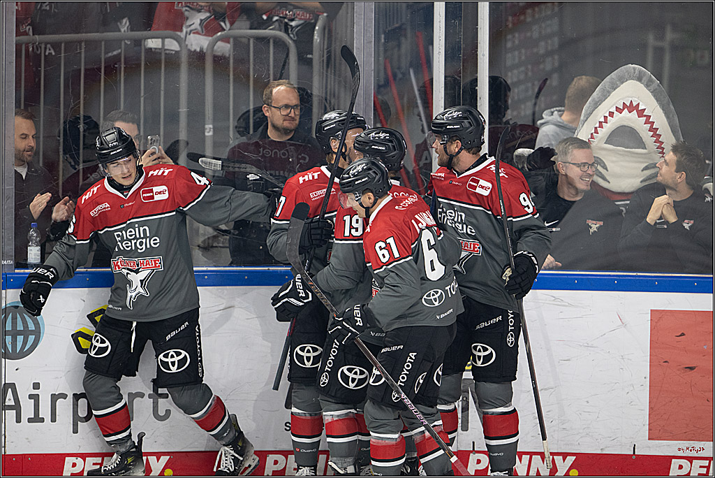 PENNY DEL 1; Kölner Haie - Grizzly Wolfsburg; Köln, 18.09.2026