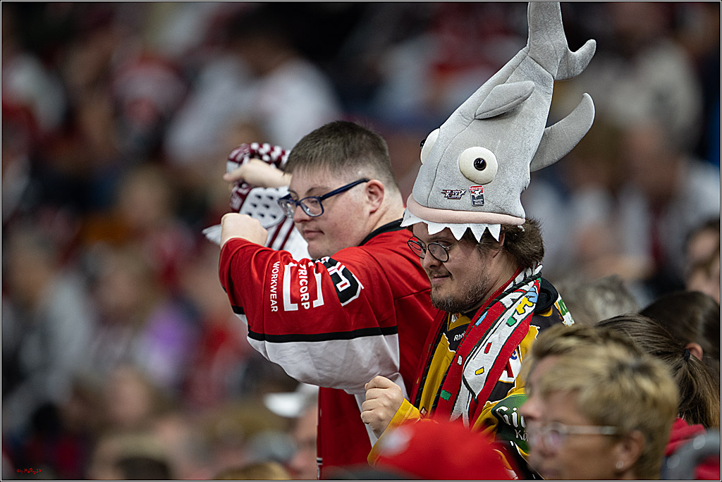 PENNY DEL 1; Kölner Haie - Grizzly Wolfsburg; Köln, 18.09.2026