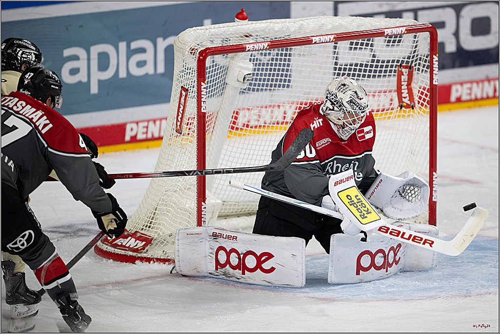 PENNY DEL 1; Kölner Haie - Grizzly Wolfsburg; Köln, 18.09.2026