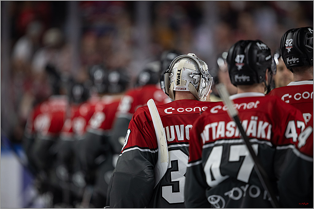 PENNY DEL 1; Kölner Haie - Grizzly Wolfsburg; Köln, 18.09.2026