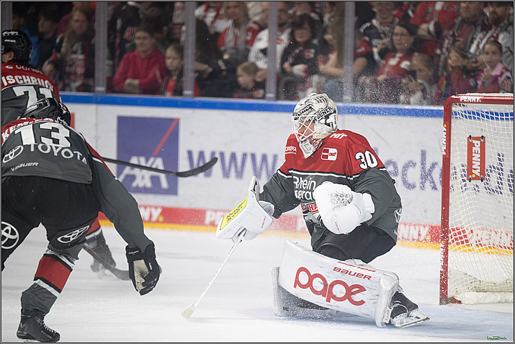 PENNY DEL 1; Kölner Haie - Grizzly Wolfsburg; Köln, 18.09.2026
