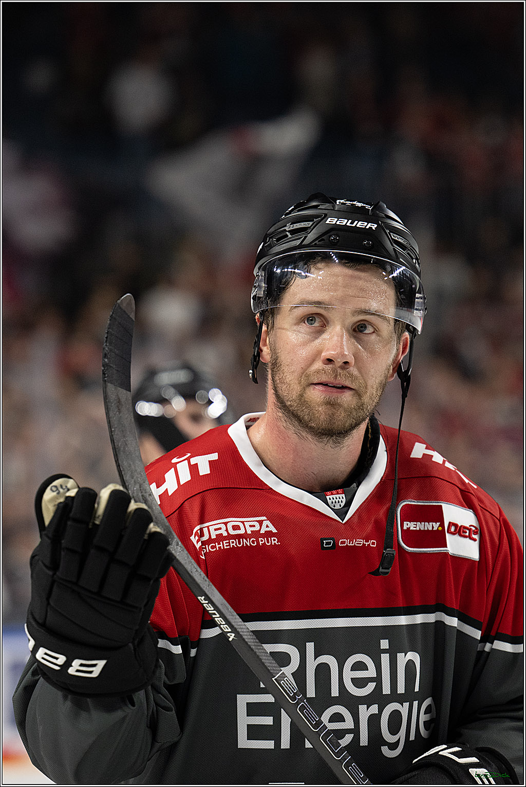 PENNY DEL 1; Kölner Haie - Grizzly Wolfsburg; Köln, 18.09.2026
