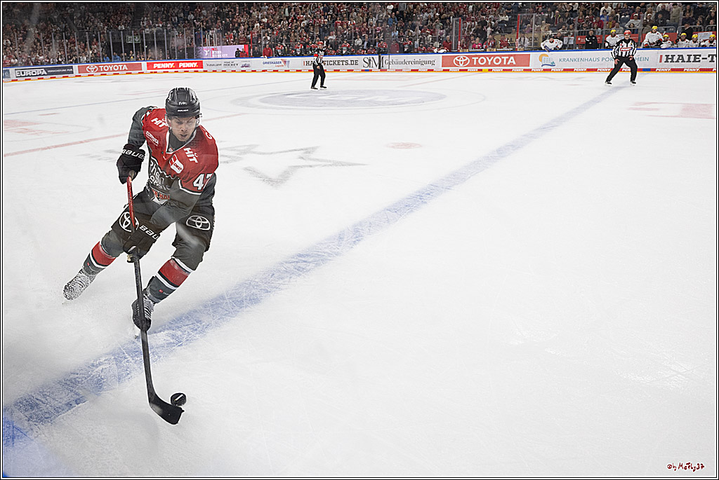 PENNY DEL 1; Kölner Haie - Löwen Frankfurt; Köln, 20.09.2026