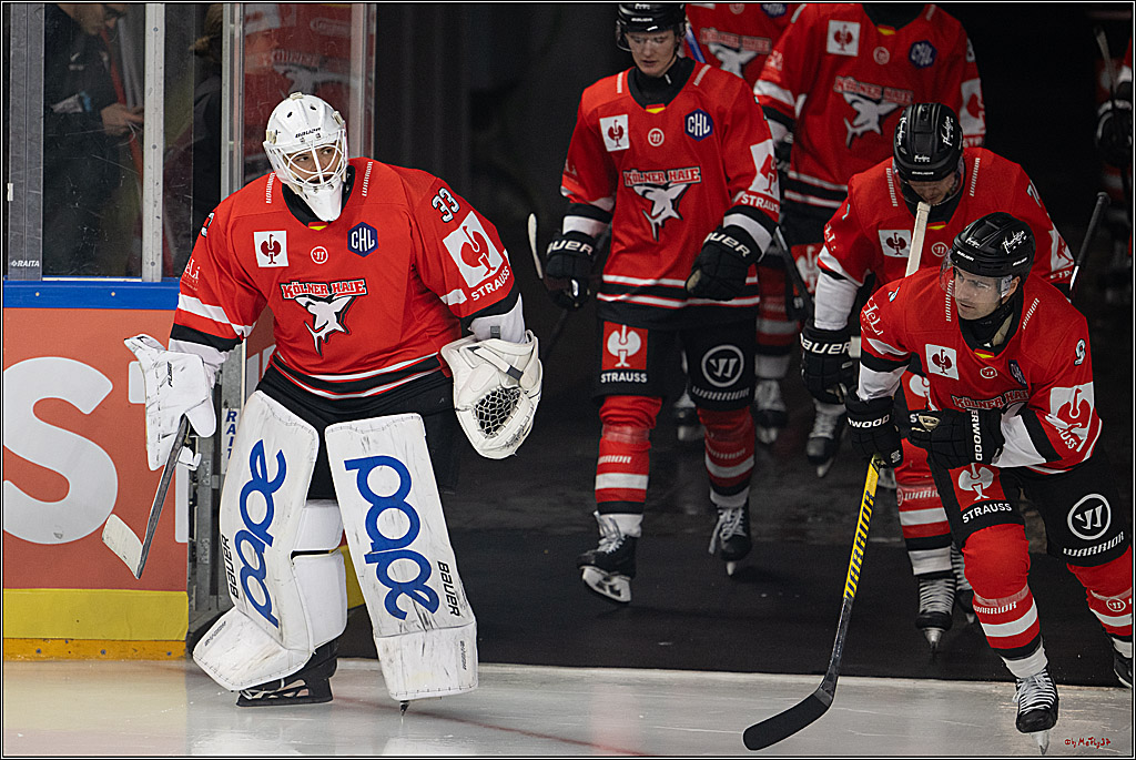CHL; Kölner Haie - Herning Blue Fox; Köln, 07.10.2026