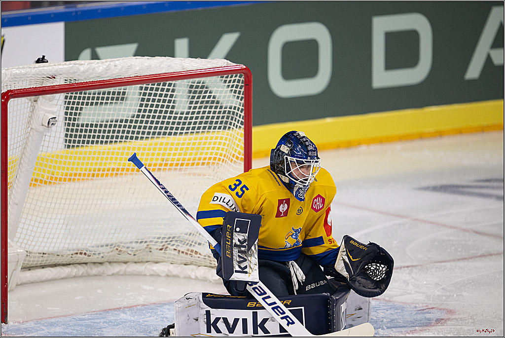 CHL; Kölner Haie - Herning Blue Fox; Köln, 07.10.2026