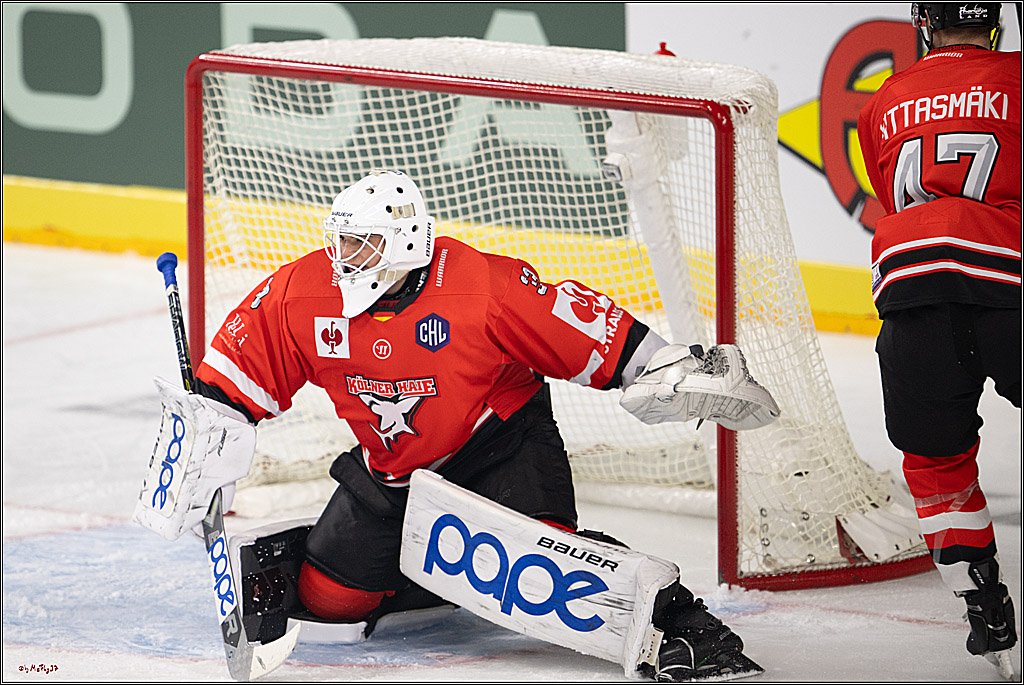 CHL; Kölner Haie - Herning Blue Fox; Köln, 07.10.2026