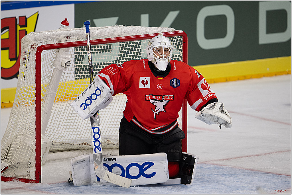 CHL; Kölner Haie - Herning Blue Fox; Köln, 07.10.2026