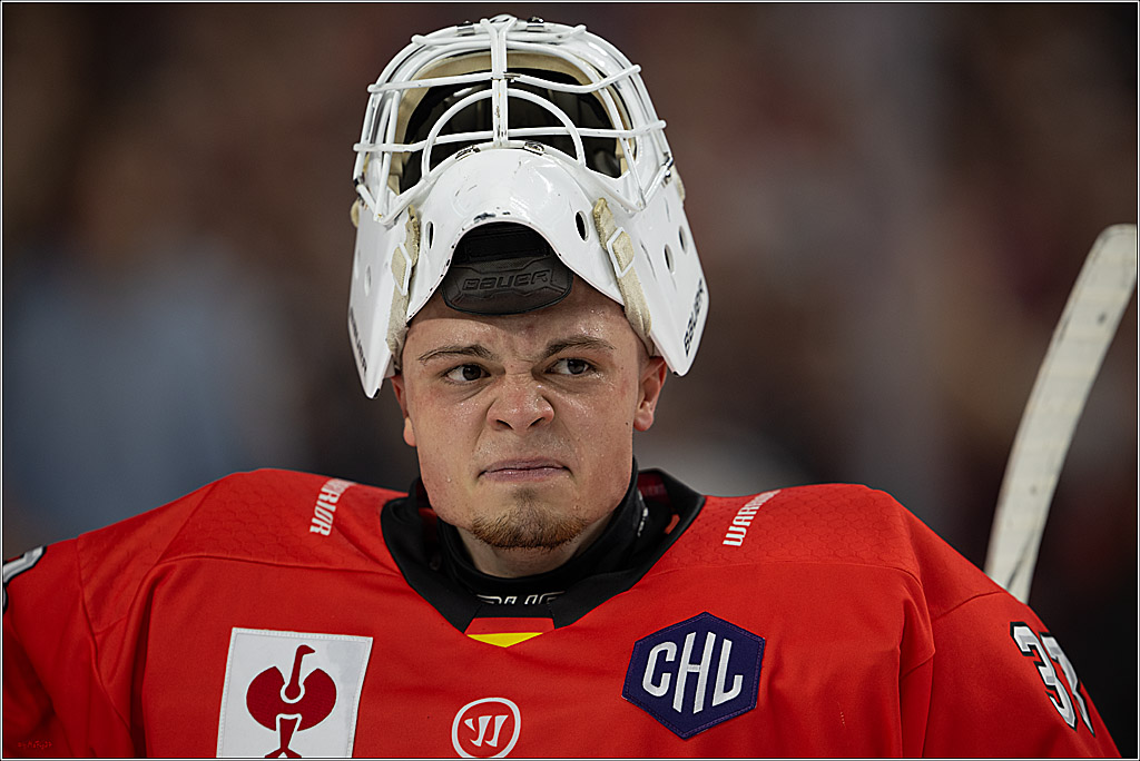 CHL; Kölner Haie - Herning Blue Fox; Köln, 07.10.2026