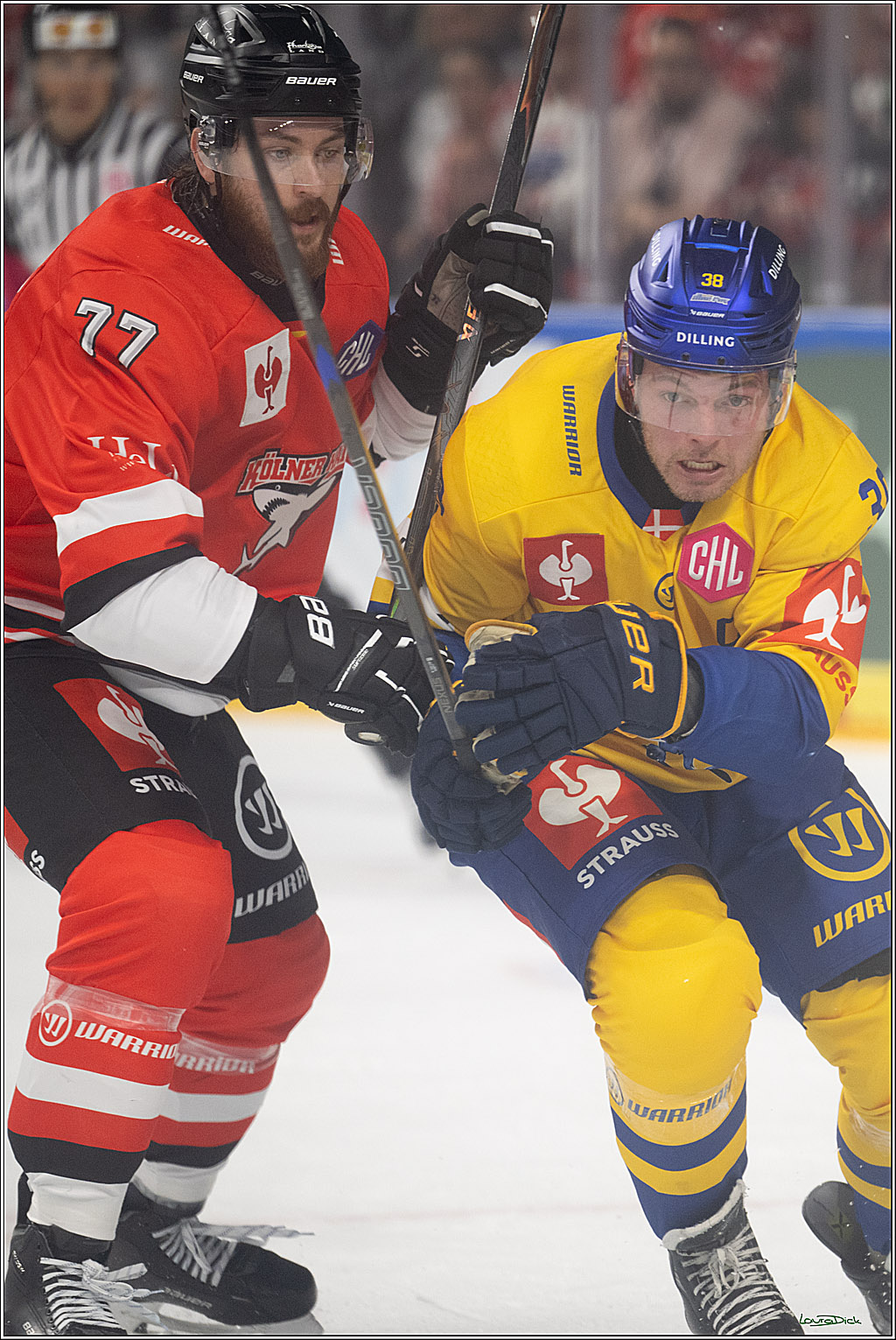CHL; Kölner Haie - Herning Blue Fox ; Köln, 07.10.2026