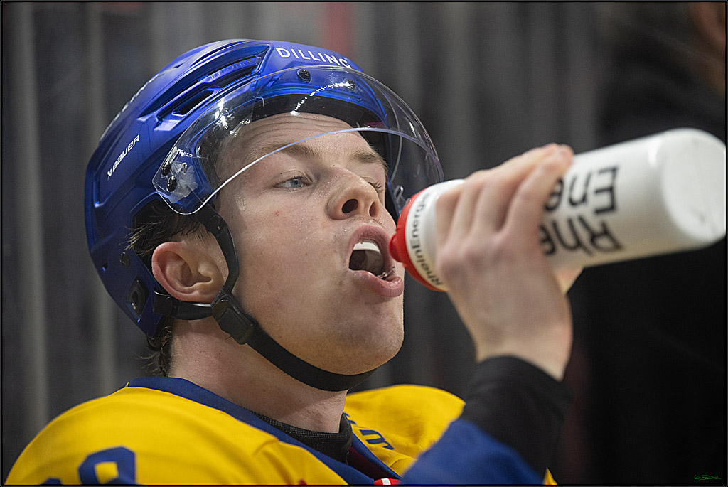 CHL; Kölner Haie - Herning Blue Fox ; Köln, 07.10.2026