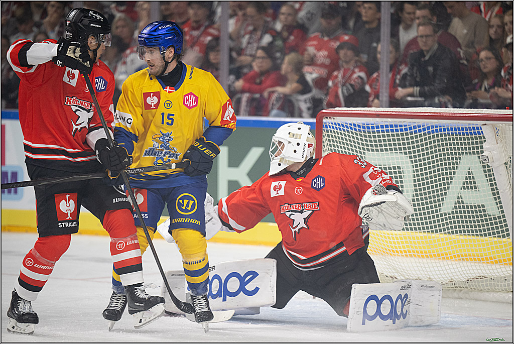 CHL; Kölner Haie - Herning Blue Fox ; Köln, 07.10.2026