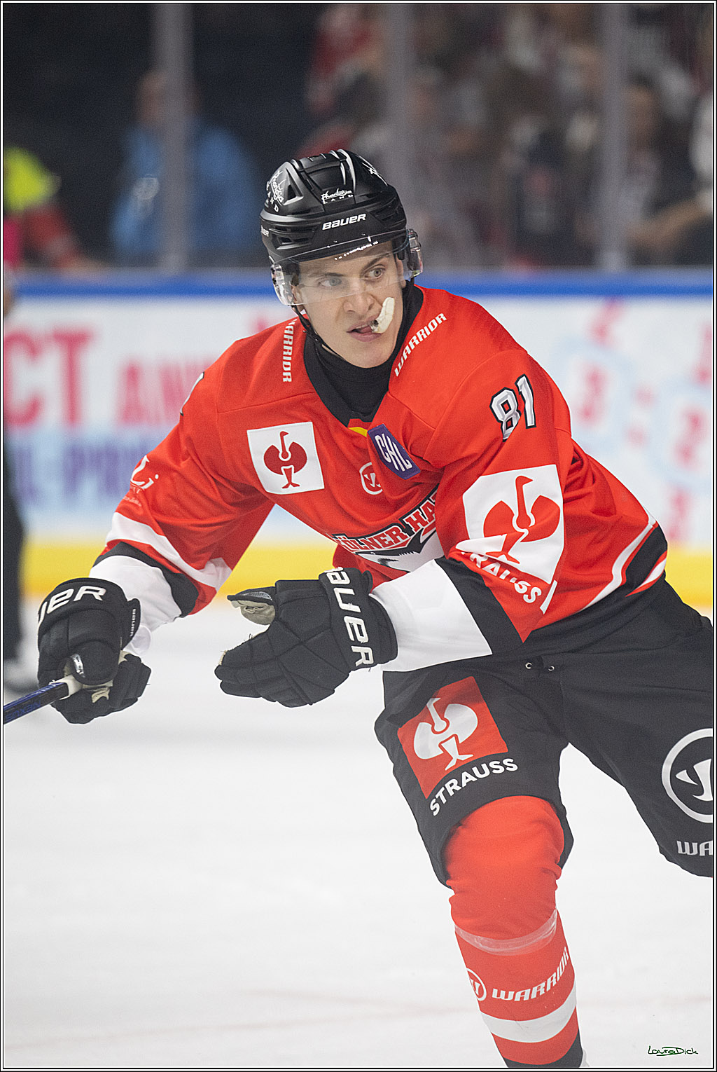 CHL; Kölner Haie - Herning Blue Fox ; Köln, 07.10.2026