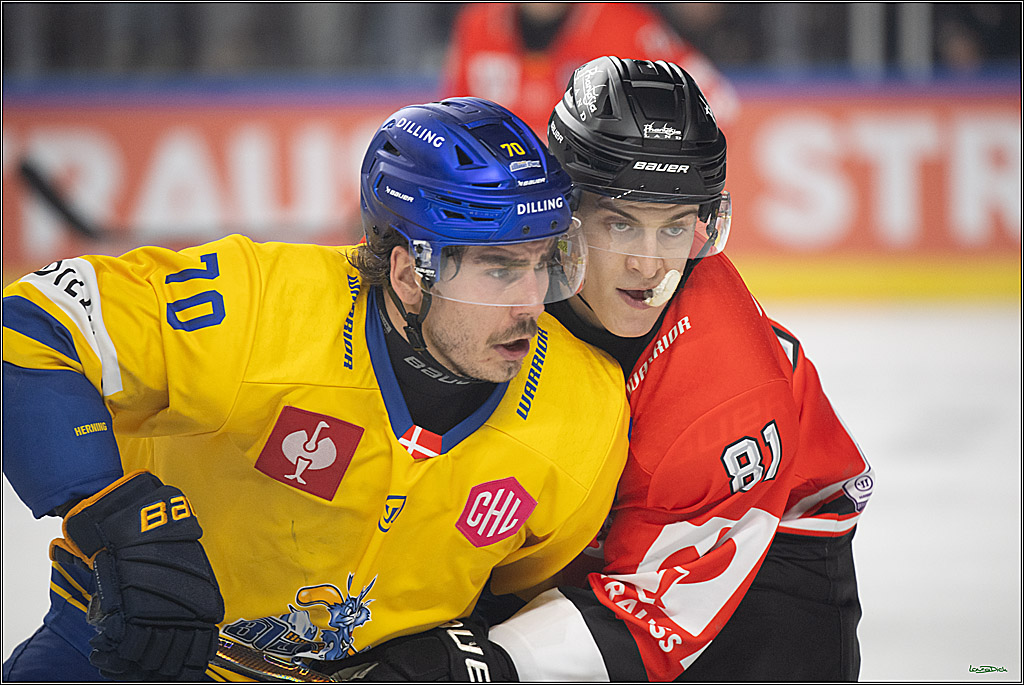 CHL; Kölner Haie - Herning Blue Fox ; Köln, 07.10.2026