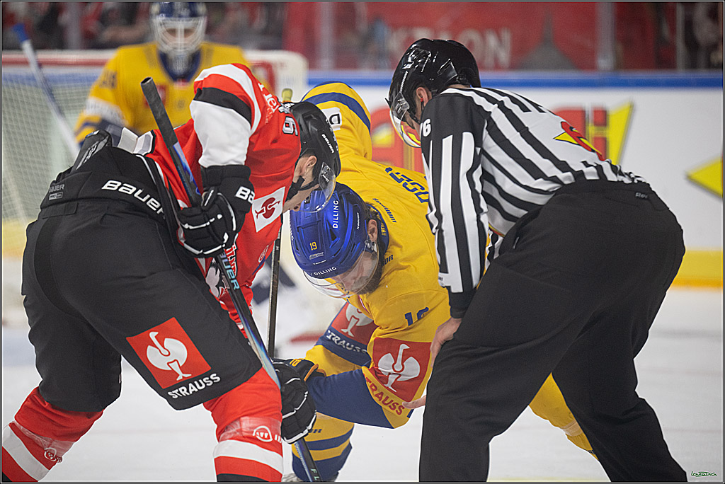 CHL; Kölner Haie - Herning Blue Fox ; Köln, 07.10.2026