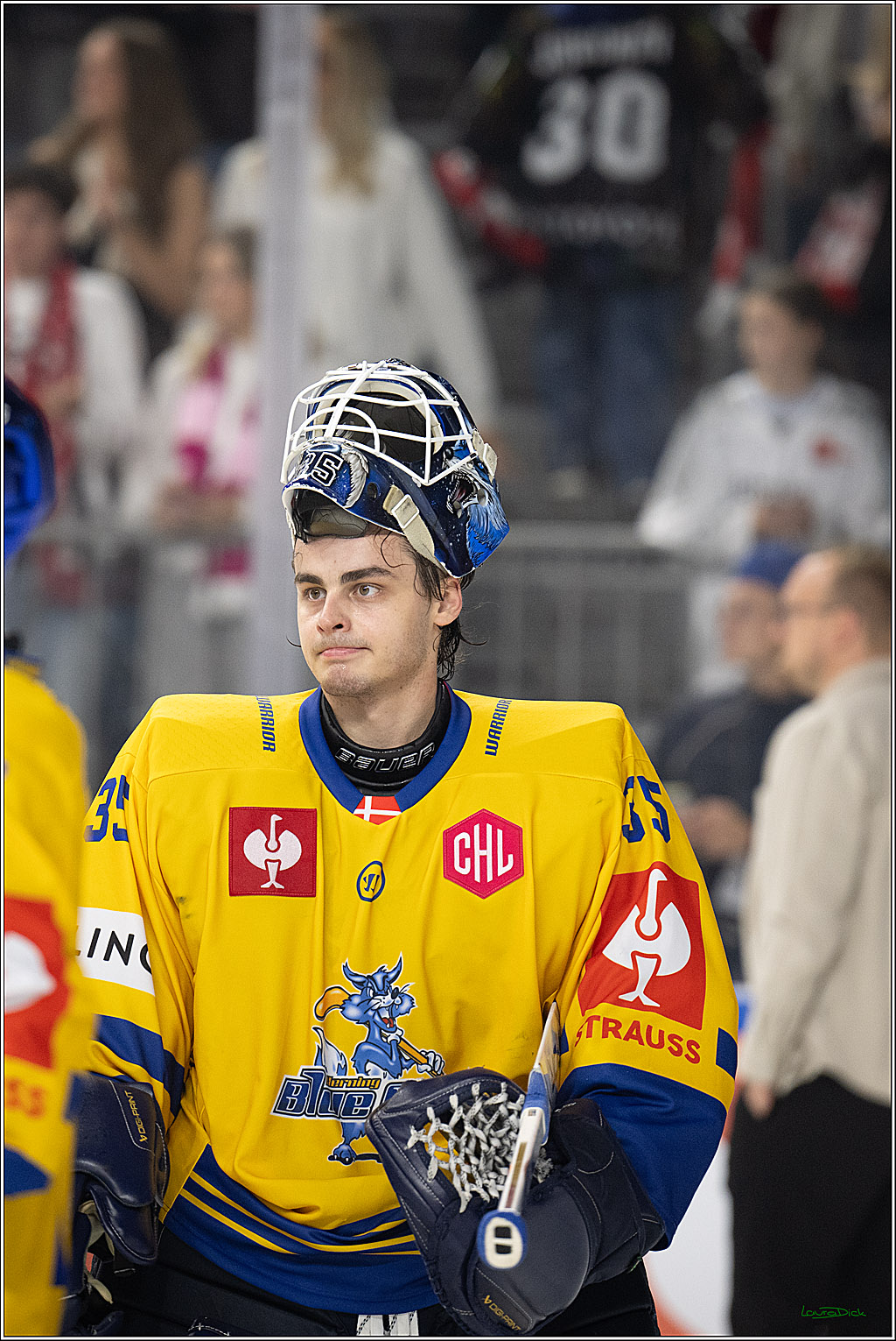 CHL; Kölner Haie - Herning Blue Fox ; Köln, 07.10.2026