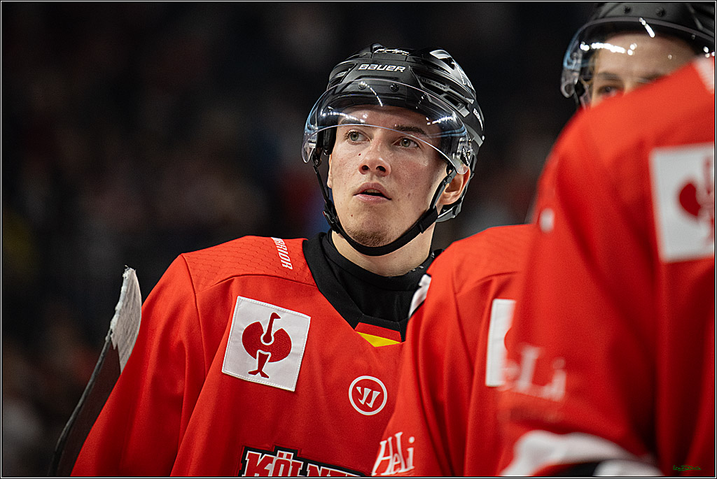 CHL; Kölner Haie - Herning Blue Fox ; Köln, 07.10.2026