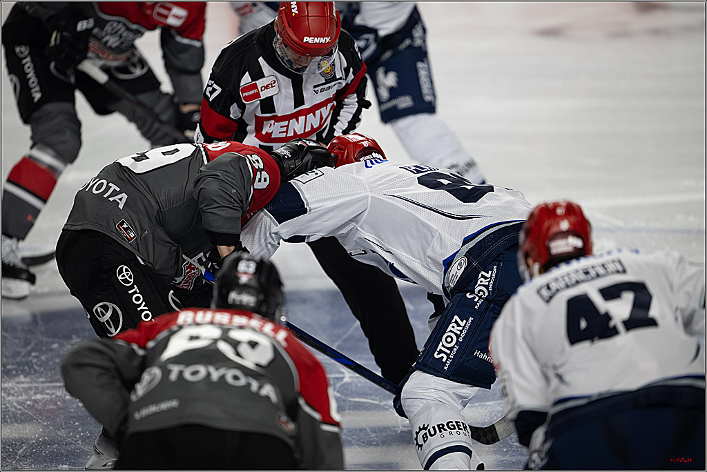 PENNY DEL 1; Kölner Haie - Schwenninger Wild Wings; Köln, 09.10.2026