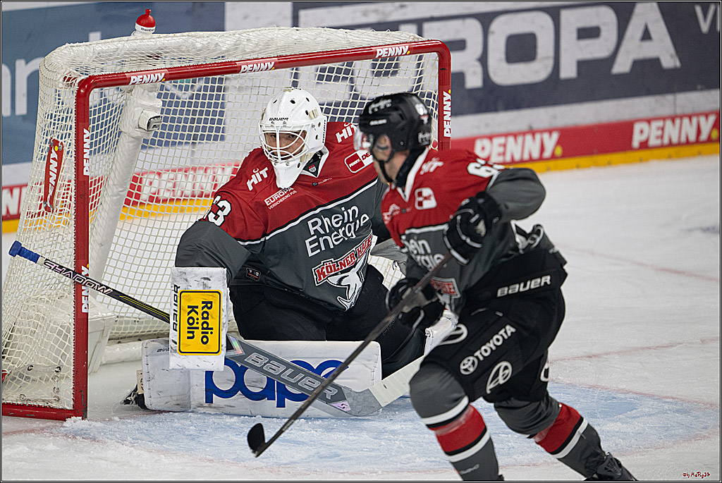 PENNY DEL 1; Kölner Haie - Schwenninger Wild Wings; Köln, 09.10.2026