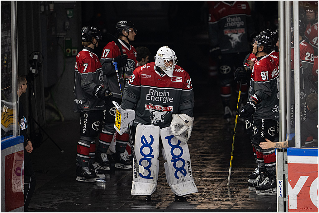 PENNY DEL 1; Kölner Haie - Schwenninger Wild Wings; Köln, 09.10.2026