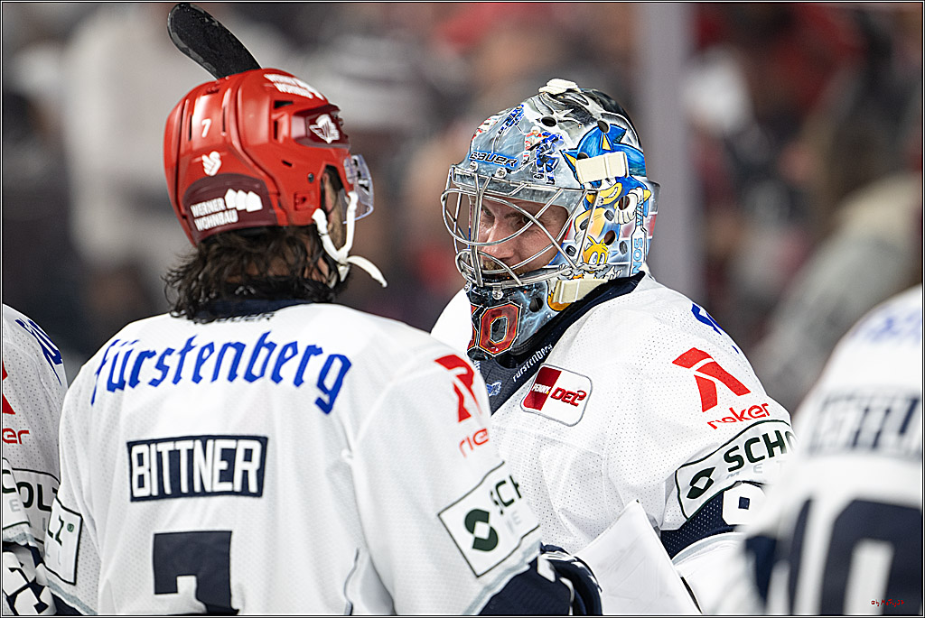 PENNY DEL 1; Kölner Haie - Schwenninger Wild Wings; Köln, 09.10.2026