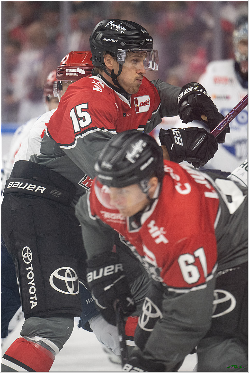 PENNY DEL 1; Kölner Haie - Schwenninger Wild Wings; Köln, 09.10.2026