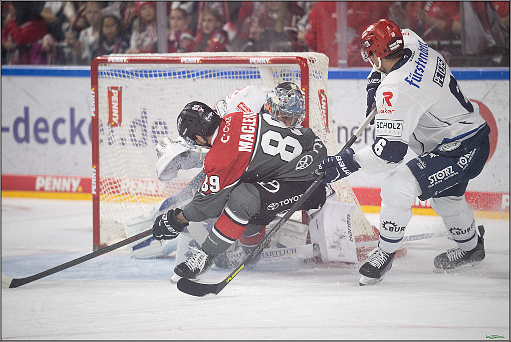 PENNY DEL 1; Kölner Haie - Schwenninger Wild Wings; Köln, 09.10.2026