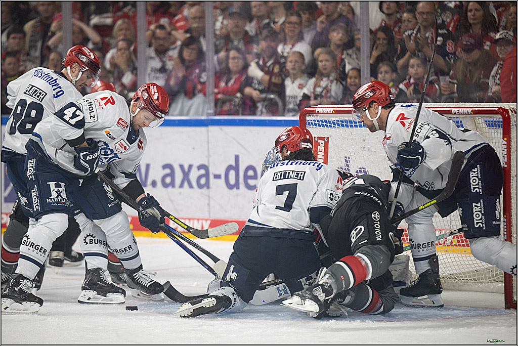 PENNY DEL 1; Kölner Haie - Schwenninger Wild Wings; Köln, 09.10.2026
