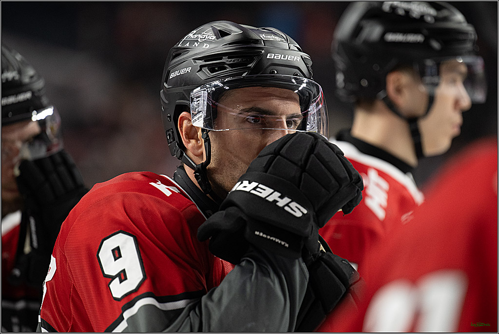 PENNY DEL 1; Kölner Haie - Schwenninger Wild Wings; Köln, 09.10.2026