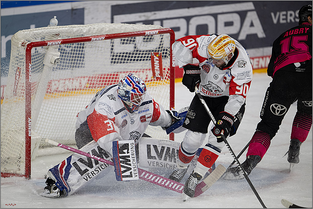 PENNY DEL 1; Kölner Haie - Nürnberg Ice Tigers; Köln, 11.10.2026