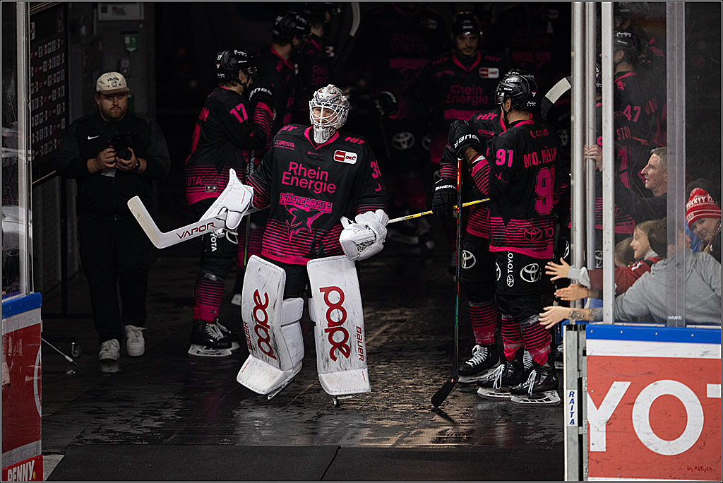 PENNY DEL 1; Kölner Haie - Nürnberg Ice Tigers; Köln, 11.10.2026