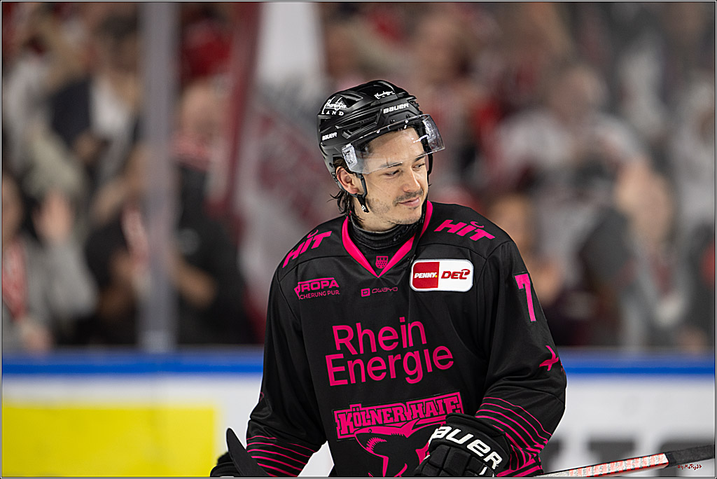 PENNY DEL 1; Kölner Haie - Nürnberg Ice Tigers; Köln, 11.10.2026